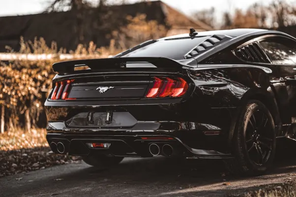 Casino Royal Valley Aip Android/iOS